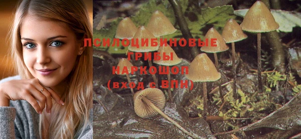 спайс Алексеевка