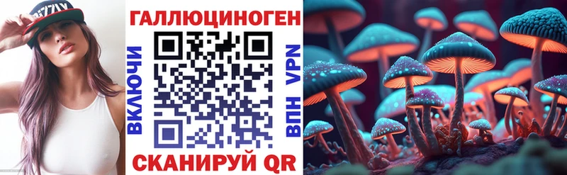 купить закладку  Нягань  Псилоцибиновые грибы Cubensis 