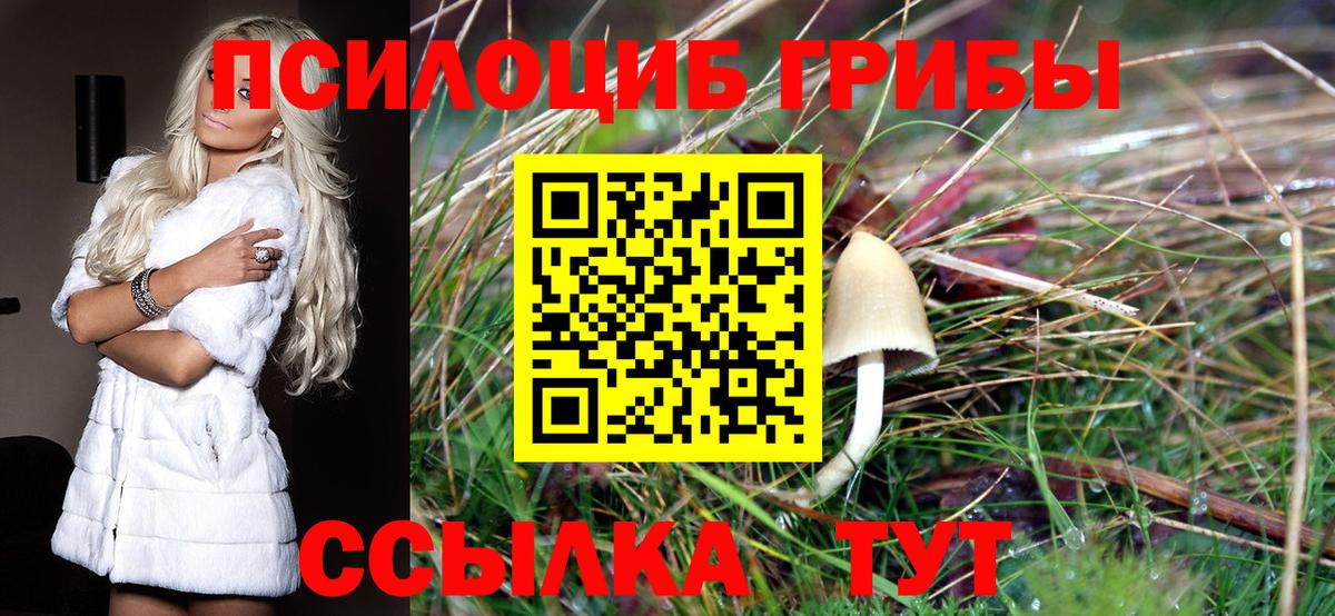 Нягань  Псилоцибиновые грибы ЛСД  Вход с VPN 